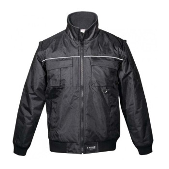 Trazeras|FAG56240