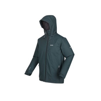 Trazeras|POL70096