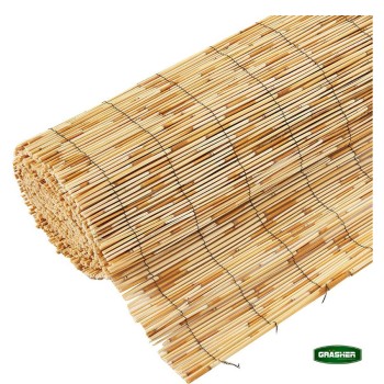 Trazeras|STB74648