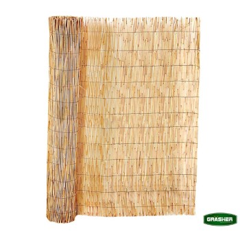 Trazeras|STB74648