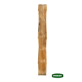 Trazeras|STB74650