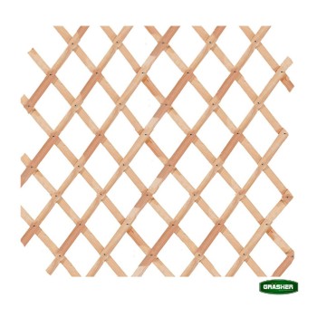 Trazeras|STB74651