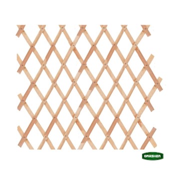 Trazeras|STB74654