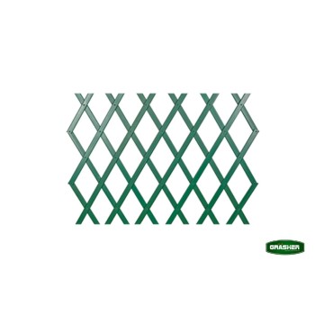 Trazeras|STB74655