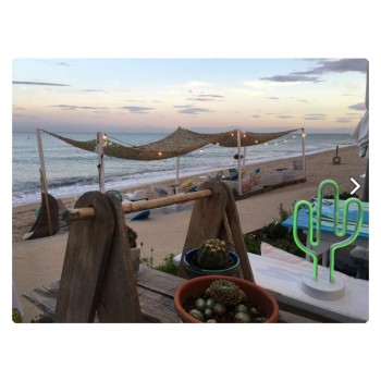 Trazeras|SUR51259