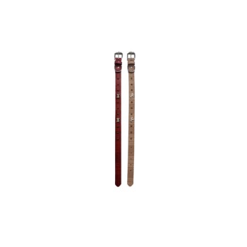 Trazeras|TRD84000