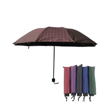 Trazeras|585663
