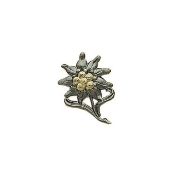 Trazeras|16825000