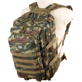 Trazeras|ARM66810