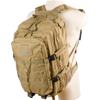 Trazeras|ARM66811