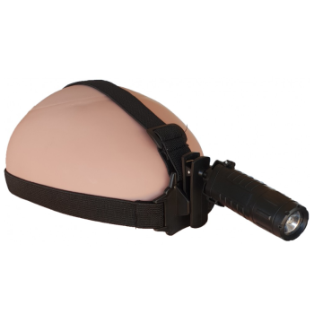Trazeras|ARM66869