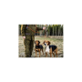 Σετ 2 Σχοινιών Pro Hunting της RunLock GOR65855 trazeras|GOR65855