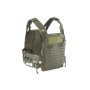 Γιλέκο Μάχης/Φορέας Plate Carrier QR SK ANFIBIA (Πράσινο) της Tasmanian Tiger SUR46734 trazeras|SUR46734