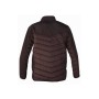 trazeras|GOR41362