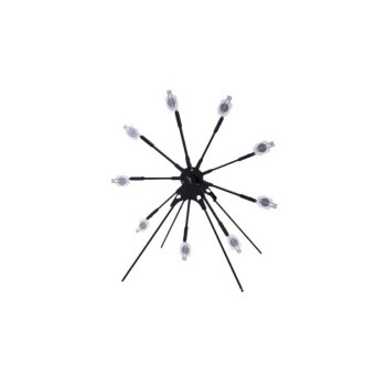 Trazeras|KIR36402