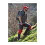 trazeras|GOR46984