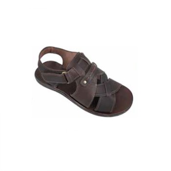 Trazeras|KOU69932