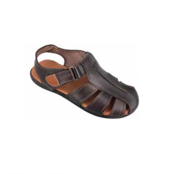 Trazeras|KOU69934