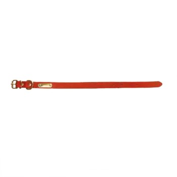 Trazeras|AET70068