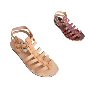 Trazeras|KOU46181