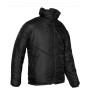trazeras|SRS66440