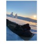 trazeras|SRS66316