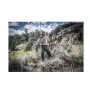 Βαμβακερή Κοντομάνικη Μπλούζα T-Shirt Home Sweet Home (Khaki) Helikon-Tex LIK78032 trazeras|LIK78032