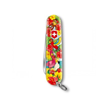 Trazeras|CAR81915