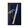 Σετ 4 Ανοξείδωτα Μαχαίρια Κουζίνας Facette Ash της Opinel VRA81983 trazeras|VRA81983