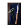 Σετ 4 Ανοξείδωτα Μαχαίρια Κουζίνας Facette Vitter® (White) eτης Opinel VRA81985 trazeras|VRA81985