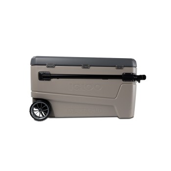 Trazeras|UNI82490