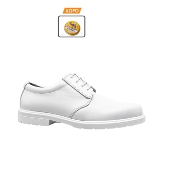 Trazeras|AER85255