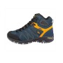 trazeras|GOR85562
