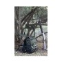 trazeras|GOR85607