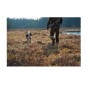 Αδιάβροχα Κυνηγετικά Μποτάκια Forest Hunter High GTX, High 9'' (Dark Brown) της Harkila LAM71395 trazeras|LAM71395