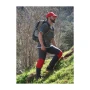 trazeras|GOR46984