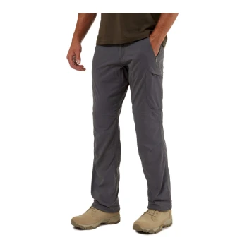 Trazeras|CRG24-00713-73E-Elephant