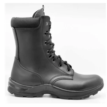 Trazeras|AER66382