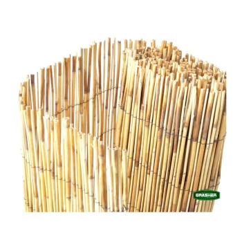 Trazeras|STB74643