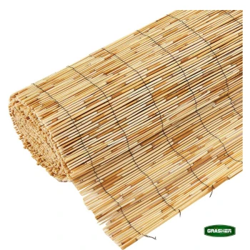 Trazeras|STB74644