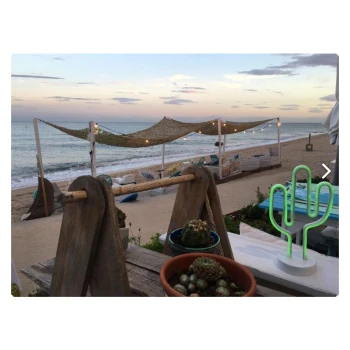 Trazeras|SUR60159