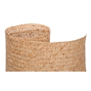 Trazeras|ECH88006