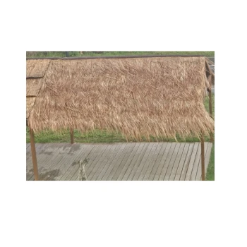 Trazeras|ECH88008