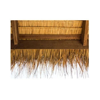 Trazeras|ECH88009