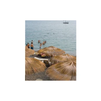 Trazeras|ECH88384
