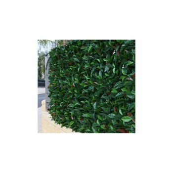 Trazeras|ECH88439
