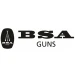 BSA
