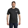 trazeras|ARM61610