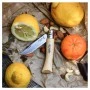 Σουγιάς Inox Νο.7 της Opinel VRA02671 trazeras|VRA02671