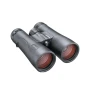 trazeras|KIR43041